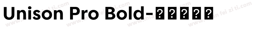 Unison Pro Bold字体转换